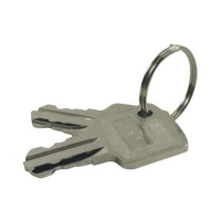 Idec HW Spare Pair of 231 Keys - price per 1 (pair)