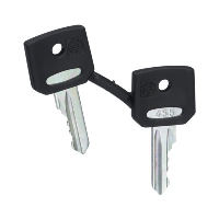 Schneider Harmony Set of 2 Keys Number 455 - price per 1 (set/2)