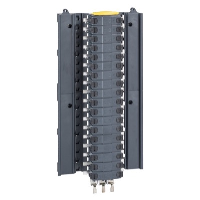 Schneider Acti9 Pan Assembly 12 Way TP&N