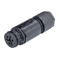 Wieland RST Micro 2 Pole Female Connector  Suitable for 4 - 7mm 8A 250/400V - price per 100