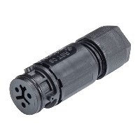 Wieland RST Micro 3 Pole Female Connector  Suitable for 4 - 7mm 8A 250/400V - price per 100