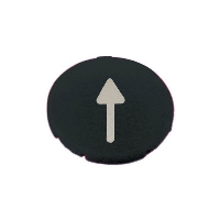 Eaton RMQ-Titan Black Button 'Arrow' Plate for Pushbutton Actuator