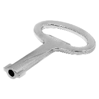 nVent HOFFMAN LSK Metallic Key for Double-bit 5mm Lock