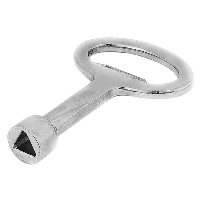 nVent HOFFMAN LSK Metallic Key for Triangle 7mm Lock