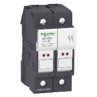 Schneider TeSys DF 10 x 38mm 32A Double Pole Fuse Carrier with LED Indicator