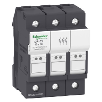 Schneider TeSys DF 10 x 38mm 32A Triple Pole Fuse Carrier
