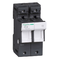 Schneider TeSys DF 14 x 51mm 50A Double Pole Fuse Carrier