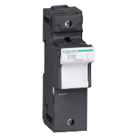Schneider TeSys DF 22 x 58mm 125A Single Pole Neutral Carrier Including Link