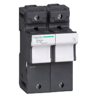 Schneider TeSys DF 22 x 58mm 125A Single Pole & Neutral Fuse Carrier