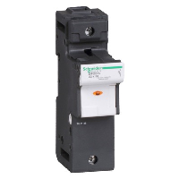 Schneider TeSys DF 22 x 58mm 125A Single Pole Fuse Carrier with LED Indicator