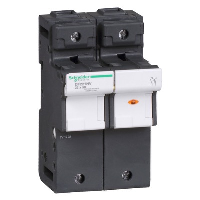 Schneider TeSys DF 22 x 58mm 125A Single Pole & Neutral Fuse Carrier with LED Indicator
