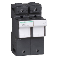 Schneider TeSys DF 22 x 58mm 125A Double Pole Fuse Carrier