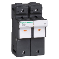 Schneider TeSys DF 22 x 58mm 125A Double Pole Fuse Carrier with LED Indicator