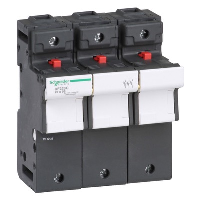 Schneider TeSys DF 22 x 58mm 125A Triple Pole Fuse Carrier
