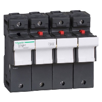 Schneider TeSys DF 22 x 58mm 125A Triple Pole & Neutral Fuse Carrier