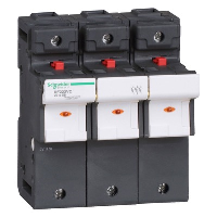 Schneider TeSys DF 22 x 58mm 125A Triple Pole Fuse Carrier with LED Indicator