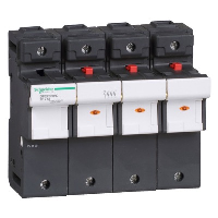 Schneider TeSys DF 22 x 58mm 125A Triple Pole & Neutral Fuse Carrier with LED Indicator