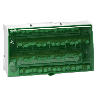 Schneider Linergy DS Screw Distribution Block 125A Four Pole 4 x 15 Connections