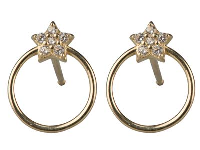 9ct Yellow Gold Flower     Cubic Zirconia And Circle Outline  Stud Earrings