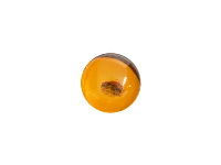 Natural Amber, Round Cabochon, 6mm