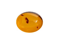 Natural Amber, Oval Cabochon,  10x8mm