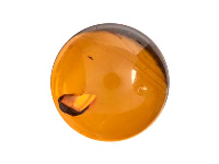 Natural Amber, Round Cabochon, 12mm