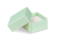 Pastel Green Card Earring/ Small   Universal Box