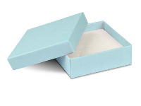 Pastel Blue Card Large Universal   Box