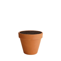 Terracotta Plant Pot 15cm