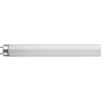 Plus Lux Tube 18w 2ft x 1 T8 White 37139