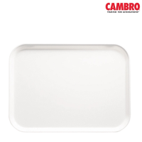 Rectangular Fibreglass Tray 32x53 cm White