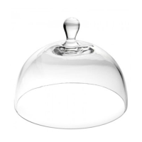 Glass Cloche 19cm 7.5"