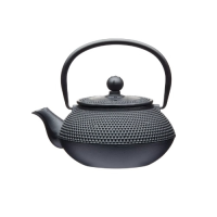 Le Xpress Cast Iron Infuser Teapot 600ml