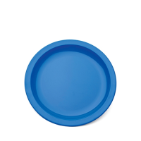 Large Narrow Rimmed Plate Medium Blue 23cm