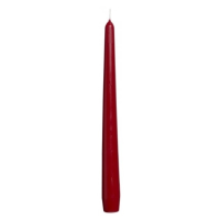 Tapered Candle 25cm Burgundy/Wine Red