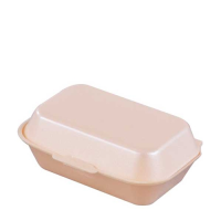 HP4 Champagne Food Box 24x20.2x7.4cm