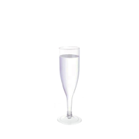 Plastic Champagne Flute 2 Piece 125ml