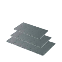 Revol Basalt Tray 30x11cm 