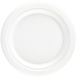 Bagasse Round Plate 10" 25.4cm