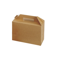 Kraft Large Carry Pack Box Handled 26.5x12.8x18cm