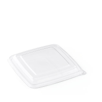 BePulp Natural Square Tray 23x23cm Lid Only Clear