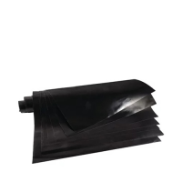 Roband Non-stick sheets (1 x 10) for 5RGSA815R