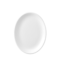 White Oval Plate/Platter 11" 28cm