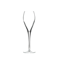 Atelier Prestige Champagne Flute 20cl (7oz)