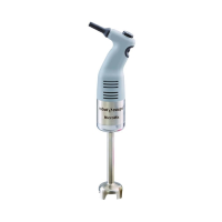 Robot Coupe MicroMix Stick Blender