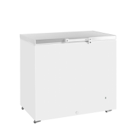Tefcold 278 L White Chest Freezer SS Lid GM300SS