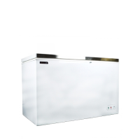 Blizzard Chest Freezer with S/S Lid CF450SS 450Ltr