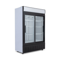 Blizzard Double Glass Sliding Door Merchandiser 