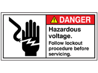 Danger. Hazardous voltage label