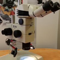 Microscope Optical Services for Schools